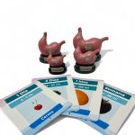 Set x 4 estómagos del recién nacido con etiquetas educativas sobre capacidad gástrica y lactancia materna