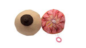 Modelo anatómico del seno en tela: herramienta educativa para salud mamaria, lactancia materna y autoexploración