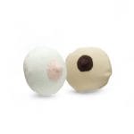 Modelo anatómico del seno en tela: representación detallada de estructuras internas para enseñanza de salud mamaria