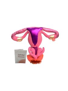 modelo anatomia-Photoroom