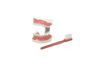 modelo dientes con brackets