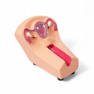 inserción y retiro de DIU