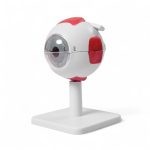Modelo Anatómico del Ojo Humano Ampliado